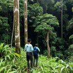 산림 자원 관리 방법 - **

A group of Malaysian researchers, fully clothed in appropriate field attire (long sleeves, pants...